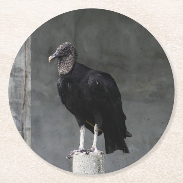 Posavasos Redondo De Papel Láminas de plaqueta de buceo (Anverso)