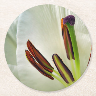 Posavasos Redondo De Papel Lilium Oriental White