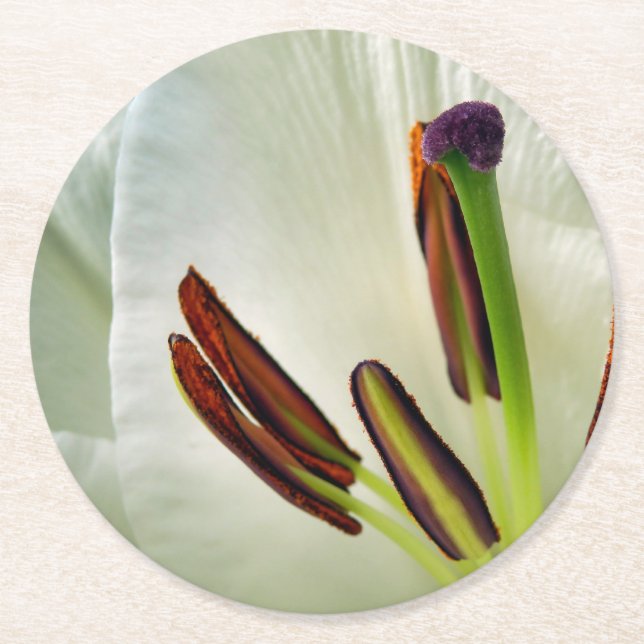 Posavasos Redondo De Papel Lilium Oriental White (Anverso)