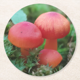 Posavasos Redondo De Papel Luminosos champiñones rojos en el suelo forestal