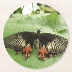 Posavasos Redondo De Papel Máster de papel de mariposa de color negro y dorad