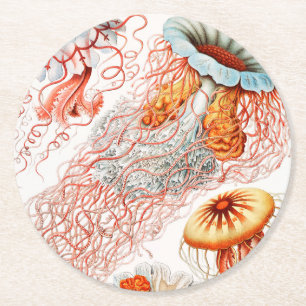 Posavasos Redondo De Papel Medusas, Discomedusae por Ernst Haeckel