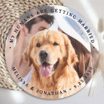 Posavasos Redondo De Papel Mis Seres Humanos Se Están Casando Con La Foto De<br><div class="desc">Celebre su compromiso y dé una boda única para perros, salve las fechas con esta foto personalizado, y la boda personalizada "Mis seres humanos se están casando", salvo la montaña rusa de la cita. Personalizar con tus fotos, nombres y fecha favoritos. Esta montaña rusa de bodas de fotos personalizados es...</div>