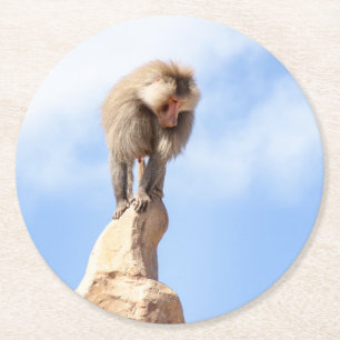 Posavasos Redondo De Papel Mono babuino en la cima de una montaña