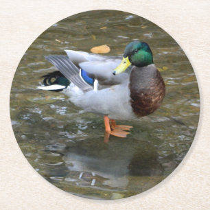 Posavasos Redondo De Papel Monstruo de papel mallard (macho)
