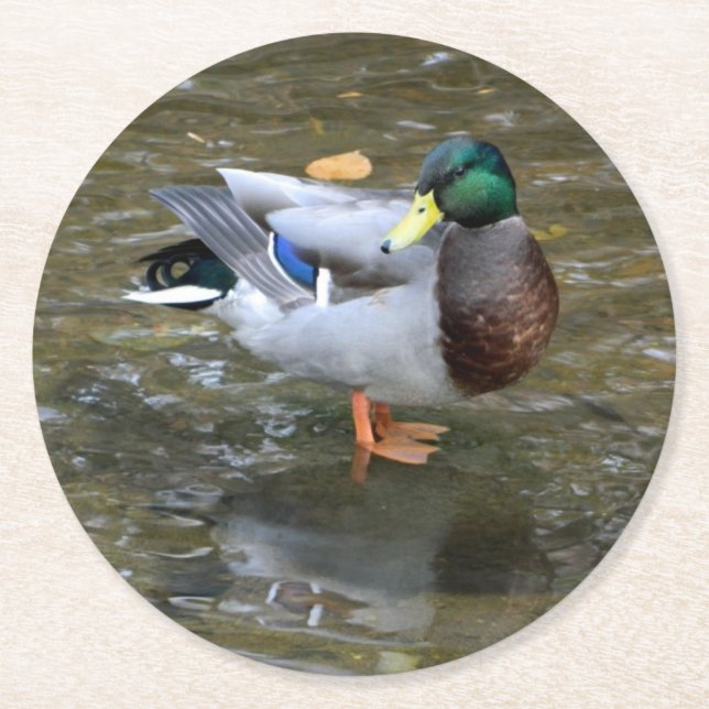 Posavasos Redondo De Papel Monstruo de papel mallard (macho) (Anverso)