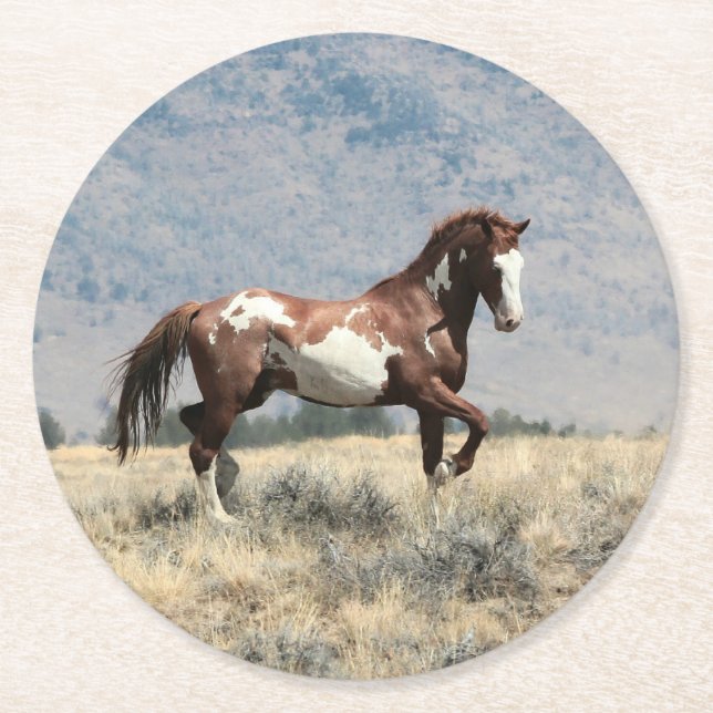 Posavasos Redondo De Papel Monstruo de Stallion salvaje (Anverso)