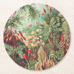 Posavasos Redondo De Papel Musgos, Muscinae Laubmoose por Ernst Haeckel