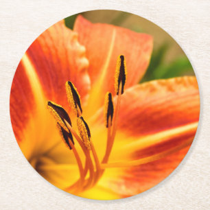 Posavasos Redondo De Papel Naranja Tiger Lily