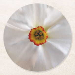 Posavasos Redondo De Papel narciso blanco perla