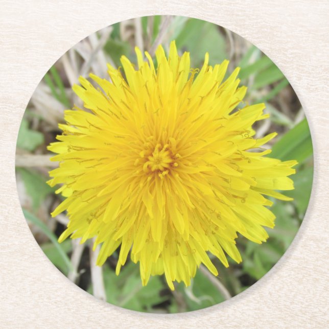 Posavasos Redondo De Papel Orgullosa flor de Dandelion. (Anverso)