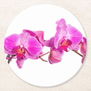 Posavasos Redondo De Papel Orquídea