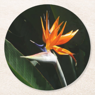 Posavasos Redondo De Papel Pájaro del Naranja del paraíso Flor tropical