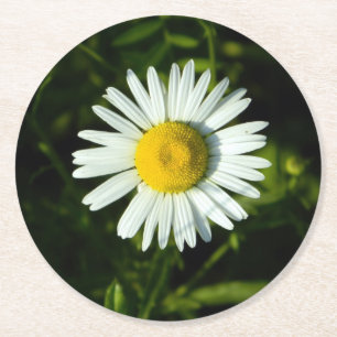 Posavasos Redondo De Papel Papel esmerilado de Daisy
