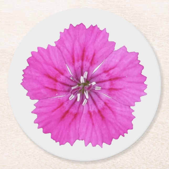 Posavasos Redondo De Papel Papel rosado Dianthus (Anverso)