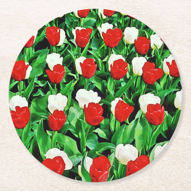 Posavasos Redondo De Papel Paper Coaster (Anverso)