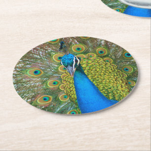 Posavasos Redondo De Papel Peacock S9K.jpg
