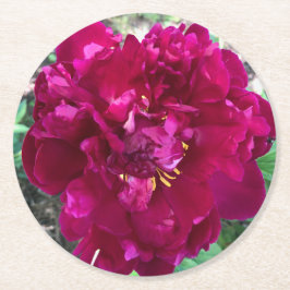 Posavasos Redondo De Papel Peony Paper Coaster