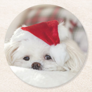 Posavasos Redondo De Papel Perro blanco lindo en un Gorra de Navidades rojos