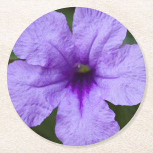 Posavasos Redondo De Papel Petunia mexicana con enano morado