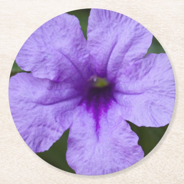 Posavasos Redondo De Papel Petunia mexicana con enano morado (Anverso)