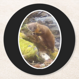 Posavasos Redondo De Papel Pine Marten en la montaña de papel de registro