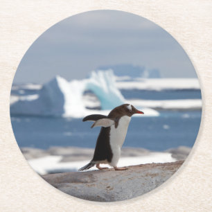 Posavasos Redondo De Papel Pingüino frente a un arco de hielo