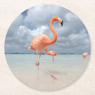 Posavasos Redondo De Papel Playas tropicales Playa Flamingos, Aruba