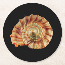 Práctico de costa de Shell