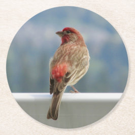 Posavasos Redondo De Papel Red Finch Check out the View.