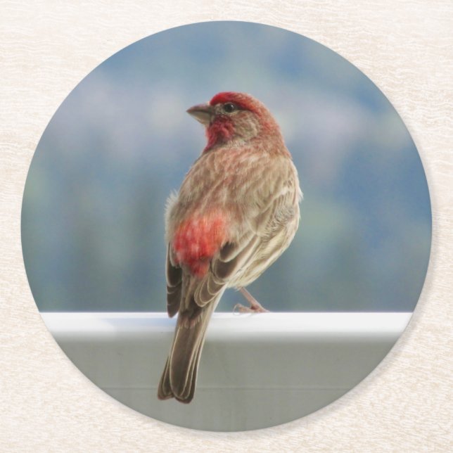 Posavasos Redondo De Papel Red Finch Check out the View. (Anverso)
