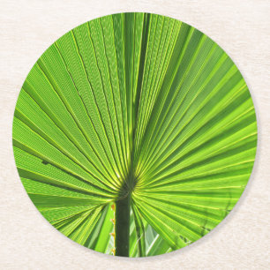 Posavasos Redondo De Papel Reparación de papel - Hoja verde de la palma