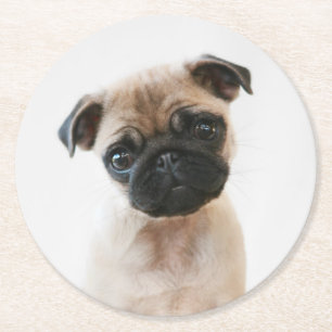 Posavasos Redondo De Papel Retrato de Baby Pug