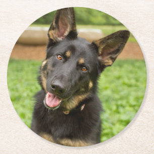 Posavasos Redondo De Papel Retrato de un pastor alemán
