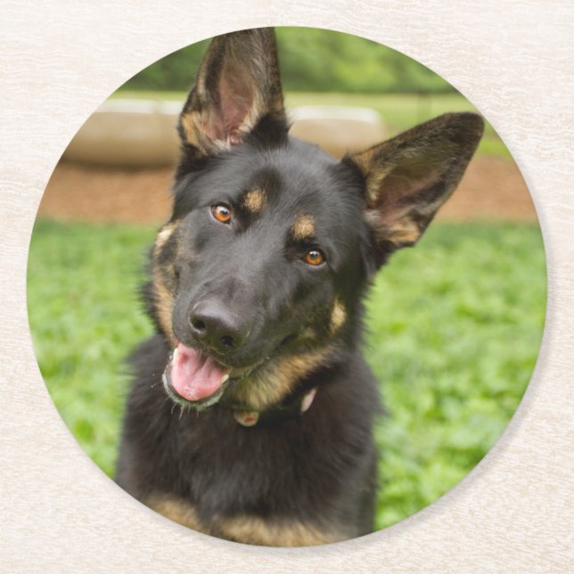 Posavasos Redondo De Papel Retrato de un pastor alemán (Anverso)