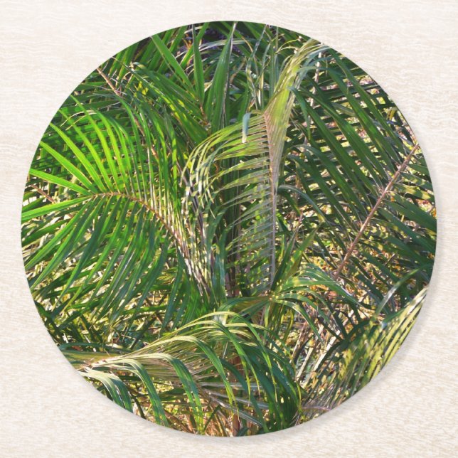 Posavasos Redondo De Papel Sunset Lit Palm Fronds Tropical (Anverso)