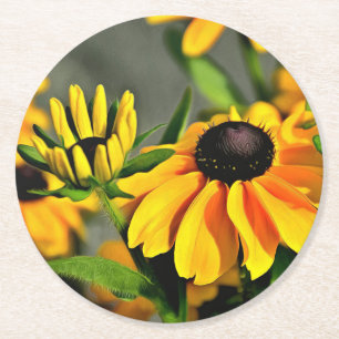 Posavasos Redondo De Papel Susan Rudbeckias, Ojo Negro Dorado