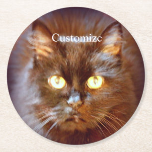 Posavasos Redondo De Papel Thunder_Cove de gato negro