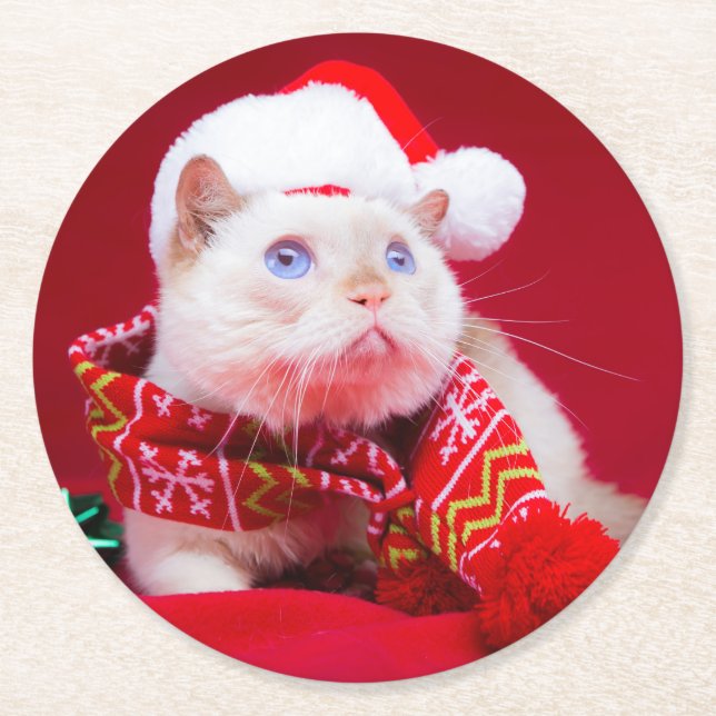 Posavasos Redondo De Papel Trident los prácticos de costa del gato (Anverso)