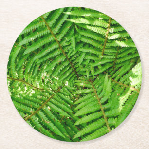 Posavasos Redondo De Papel Woodland Ferns