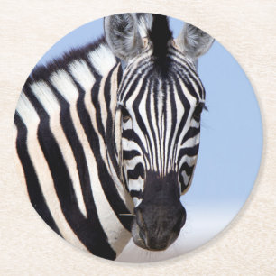 Posavasos Redondo De Papel Zebra mirándote