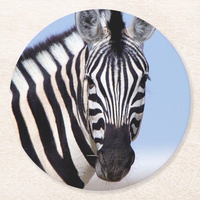 Posavasos Redondo De Papel Zebra mirándote (Anverso)