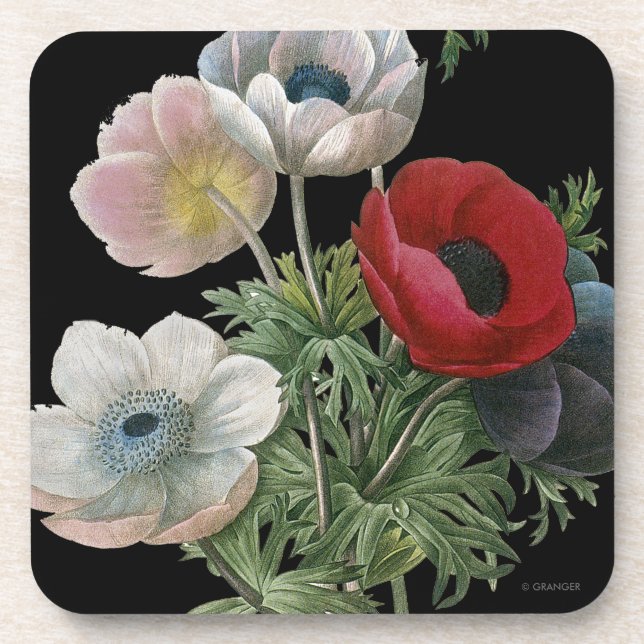 Posavasos Redoute: Anémona, 1833 (Frente)