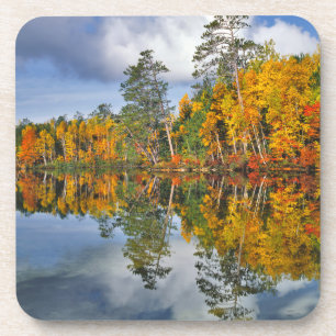 Posavasos Reflejos de estanque en otoño, Maine