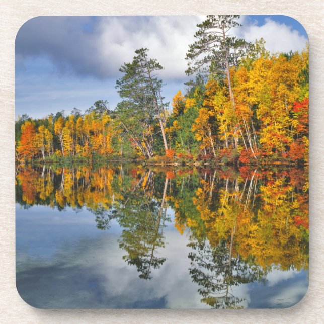 Posavasos Reflejos de estanque en otoño, Maine (Frente)