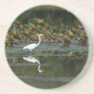 Posavasos Reflexión de Egret Blanco
