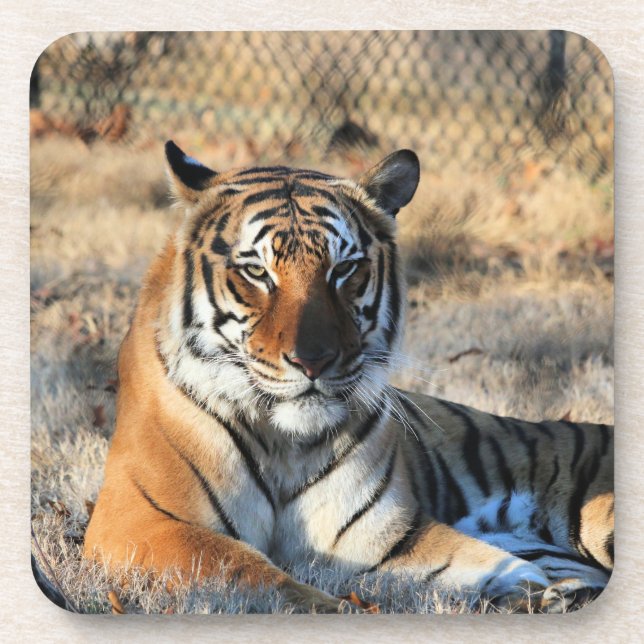 Posavasos Regalo (Frente)