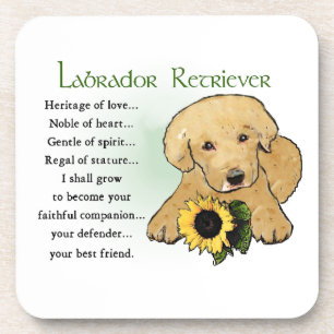 Posavasos Regalos de tazas de cobre del Laboratorio Amarillo