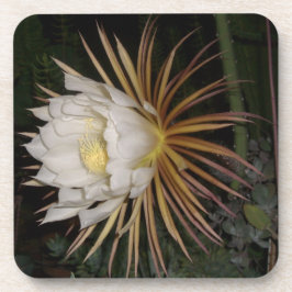 Posavasos Reina de la Noche