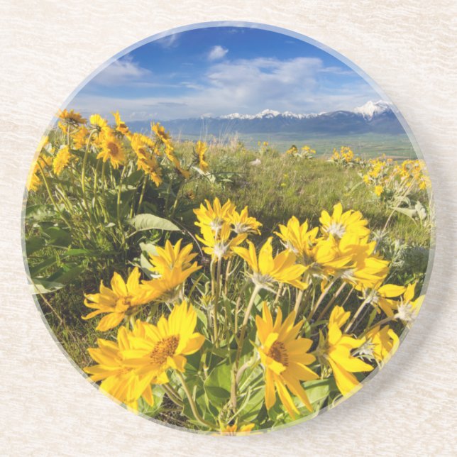 Posavasos Reserva Nacional de Bisontes (Frente)